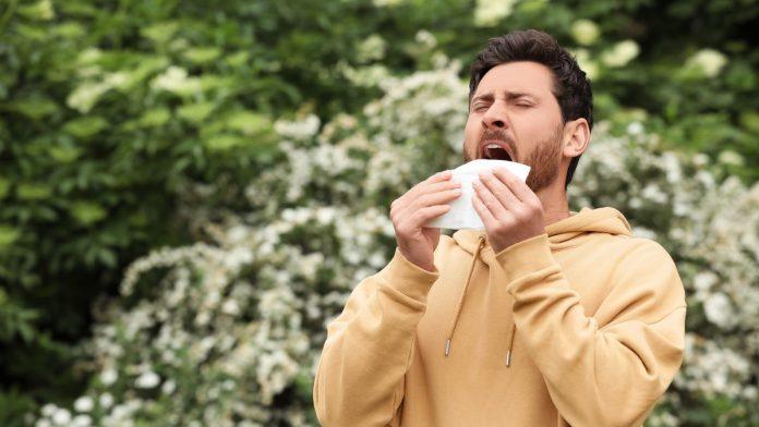 alergije-mogu-da-se-razviju-i-u-odraslom-dobu:-da-li-su-tada-opasnije,-sta-ih-pokrece-i-kako-ih-drzati-pod-kontrolom