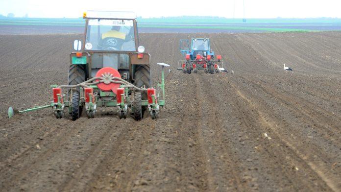 nove-olaksice-za-poljoprivrednike!-izmenjen-pravilnik:-evo-ko-ne-mora-da-pravda-podsticaje-racunima