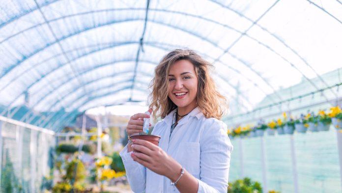 izazovi-proizvodnje-cveca-u-plasteniku:-ovo-je-6-kljucnih-stvari-o-kojima-morate-voditi-racuna