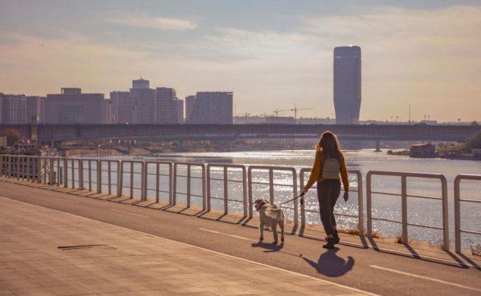 aplikacija-se-siri-po-srbiji:-jedan-klik-za-aktivno-ucestvovanje-u-oblikovanju-grada