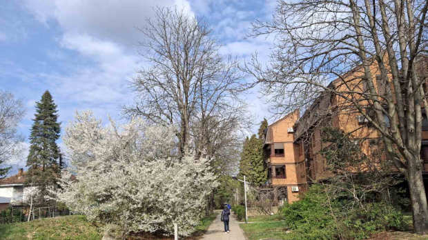 После-слабог-мраза,-променљиво-облачно-са-сунчаним-интервалима После-слабог-мраза,-променљиво-облачно-са-сунчаним-интервалима