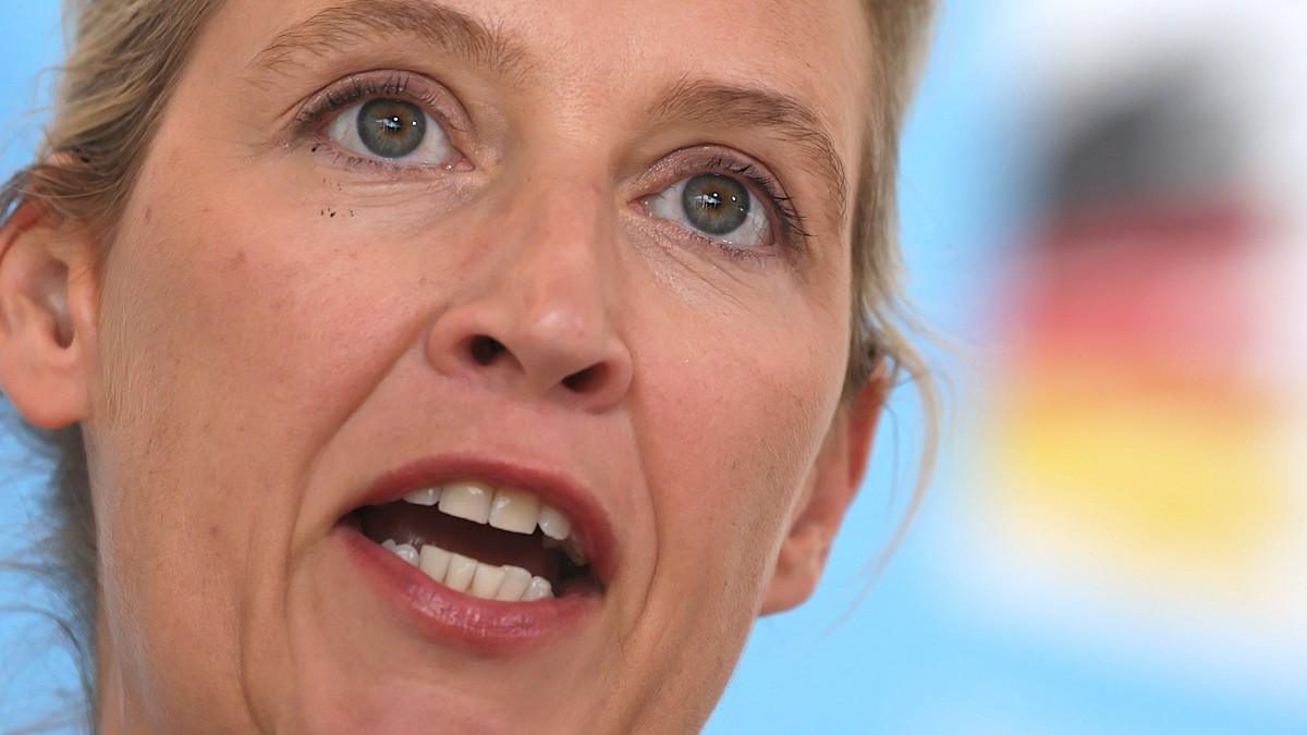 “srbija-bi-morala-da-se-odrekne-svoje-tesko-izborene-nezavisnosti”-alis-vajdel,-ekstremna-desnicarka-i-liderka-afd-a:-“prenagljen-prijem-u-eu-trenutno-nije-u-interesu-ni-srbije-ni-nemacke” “srbija-bi-morala-da-se-odrekne-svoje-tesko-izborene-nezavisnosti”-alis-vajdel,-ekstremna-desnicarka-i-liderka-afd-a:-“prenagljen-prijem-u-eu-trenutno-nije-u-interesu-ni-srbije-ni-nemacke”