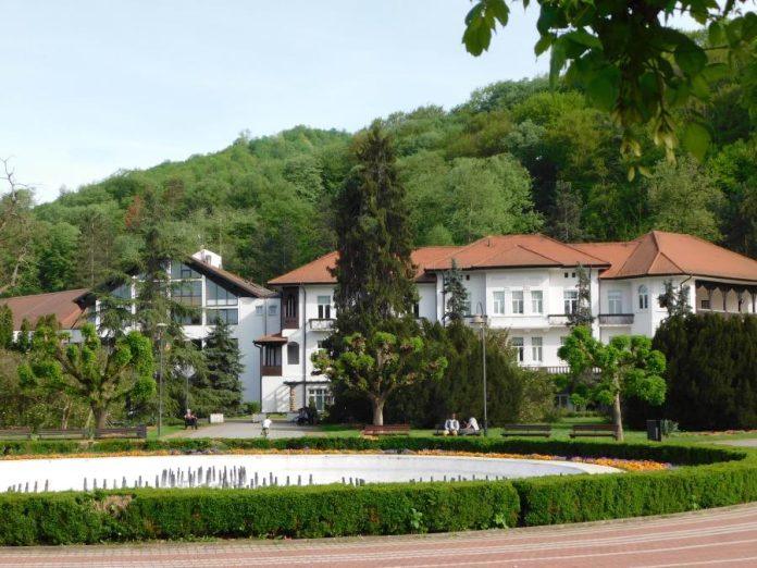 od-turizma-i-kulture-do-sporta-i-privrede-loznica-zeli-saradnju-sa-gradom-karlove-vari-u-ceskoj-(foto)