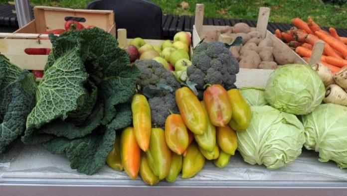 lider-ravnice:-ovaj-grad-u-vojvodini-spreman-za-uzgoj-organske-hrane,-ovo-su-detalji