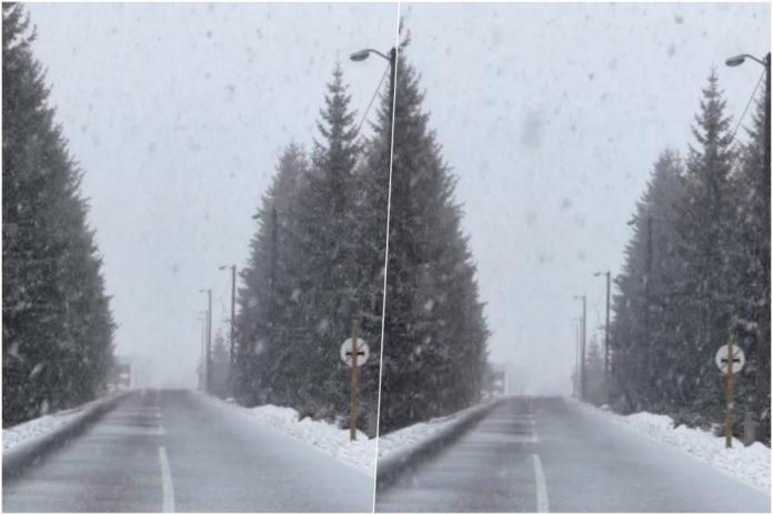 u-ovom-delu-srbije-veje-sneg-kao-da-je-januar!-mestani-navikli-na-zimu-od-mitrovdana-do-durdevdana:-zimska-idila-usred-proleca-(video)