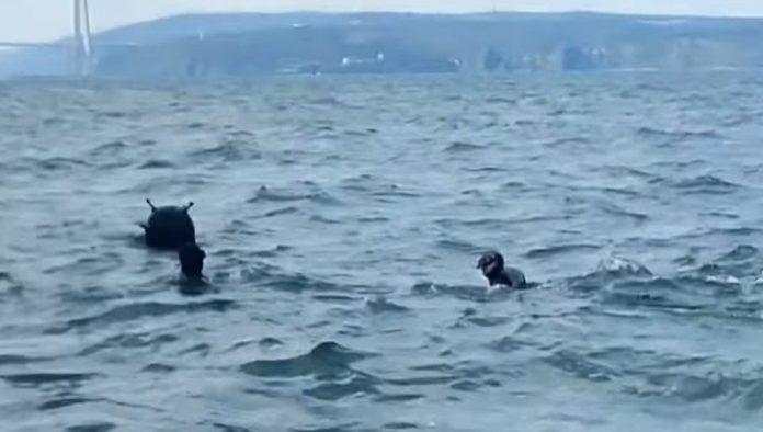 americki-mediji:-iran-postavio-desetak-mina-u-ormuskom-moreuzu