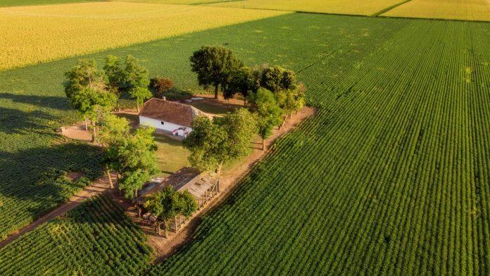 evo-koliko-kosta-ar-placa-na-kosmaju:-nalazi-se-na-mirnom-mestu-u-blizini-cuvenog-manastira-(foto)