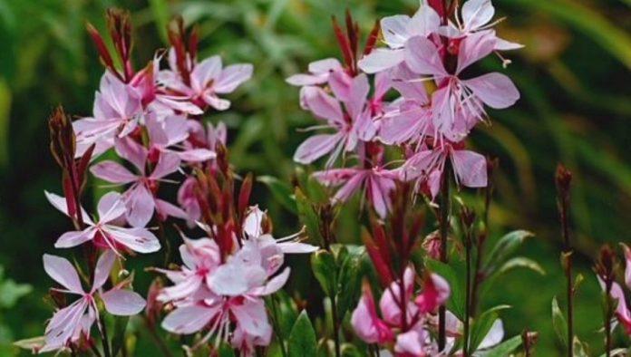 ozbiljan-profit:-ulozite-10000-dinara-i-ostvarite-zaradu-od-2.000-evra