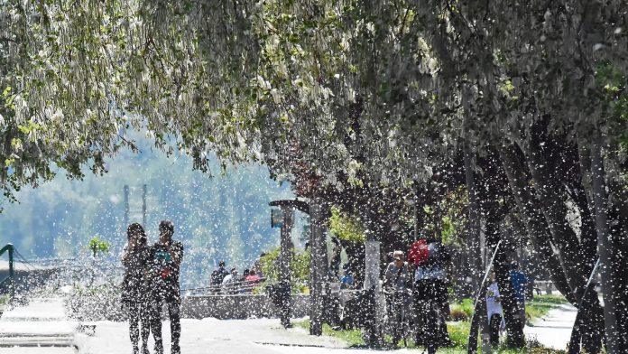 ljudi-u-srbiji-idu-ulicom-i-placu:-ovo-otezava-svakodnevni-zivot,-a-tek-je-pocelo