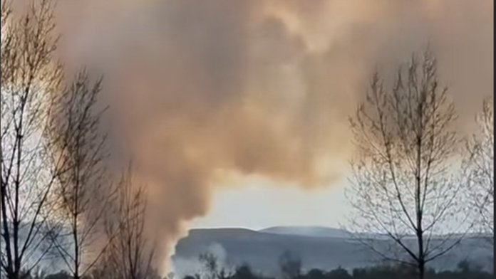 (video)-nadvio-se-ogroman-oblak-dima!-pozar-kod-beocina,-evo-sta-gori