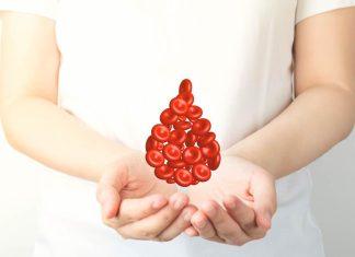 Evo gde danas možete dobrovoljno dati krv i spasite nekome život! Pomozite onima kojima to mnogo znači! evo-gde-danas-mozete-dobrovoljno-dati-krv-i-spasite-nekome-zivot!-pomozite-onima-kojima-to-mnogo-znaci!