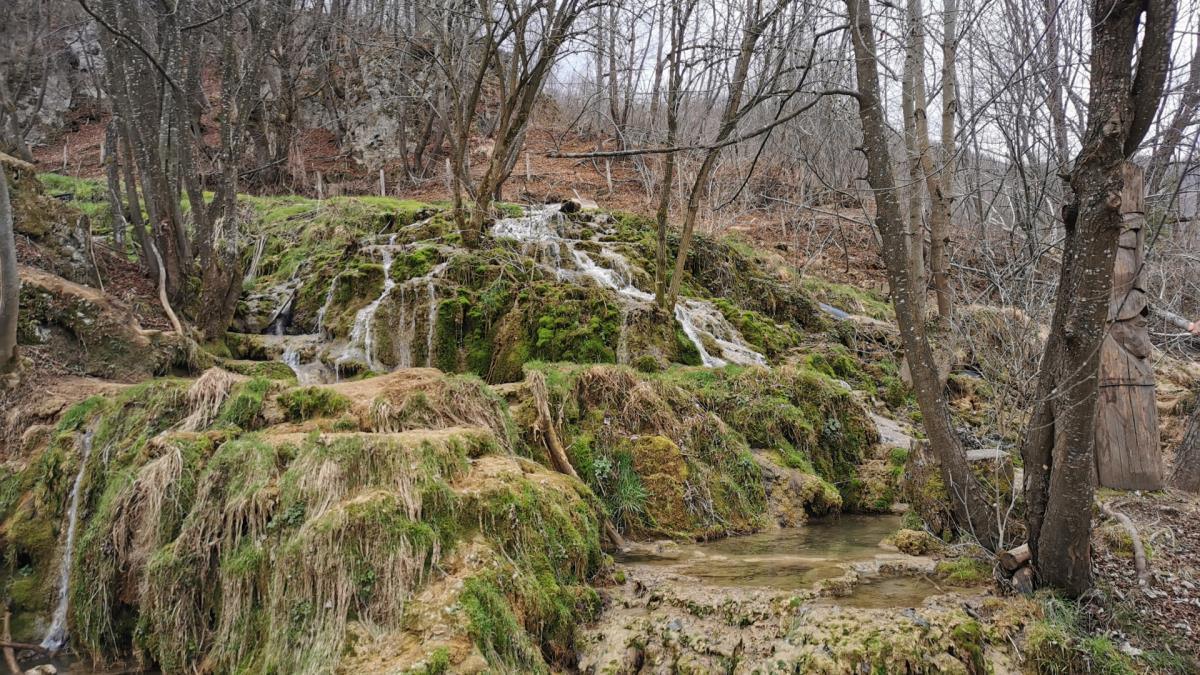 ovo-je-srpska-prestonica-sremusa:-podno-planine-povlen-ususkala-su-se-taorska-vrela-–-rajski-prizori-iz-ovog-sela-privlace-na-hiljade-turista-(foto) ovo-je-srpska-prestonica-sremusa:-podno-planine-povlen-ususkala-su-se-taorska-vrela-–-rajski-prizori-iz-ovog-sela-privlace-na-hiljade-turista-(foto)