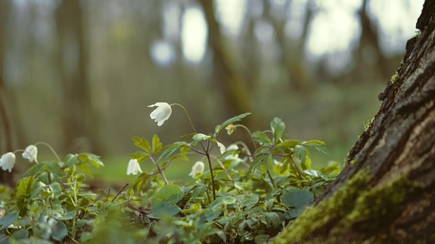 Ујутру-сунце,-поподне-киша-–-стиже-осетно-хладније-време Ујутру-сунце,-поподне-киша-–-стиже-осетно-хладније-време