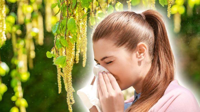 poceo-polen-breze,-najjaci-alergen-medu-drvecem:-ana-ljubicic-za-“blic-zdravlje”-o-prisutnim-i-alergenima-u-vazduhu-koji-tek-dolaze