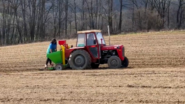 Зашто-се-у-Србији-смањује-производња-кромпира? Зашто-се-у-Србији-смањује-производња-кромпира?