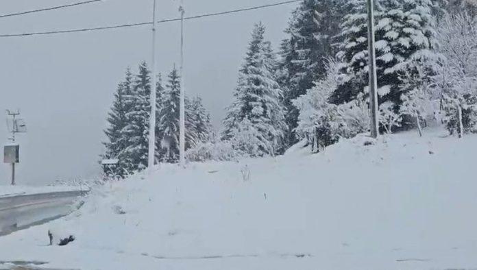 prolece-kakvom-se-niko-nije-nadao:-sneg-zabeleo-sirom-srbije,-pogledajte-kako-veje-(video)