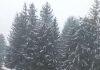 Zabelela se Srbija, sneg veje u ovim gradovima! Od proleća ne ostade ništa: Pogledajte snimke snežnog nevremena! (FOTO, VIDEO) zabelela-se-srbija,-sneg-veje-u-ovim-gradovima!-od-proleca-ne-ostade-nista:-pogledajte-snimke-sneznog-nevremena!-(foto,-video)