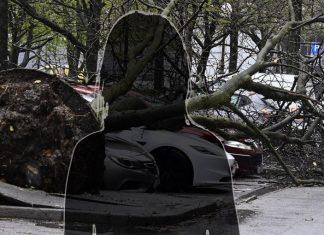 VODITELJKA OBELODANILA UZNEMIRUJUĆE SNIMKE NEVREMENA: Automobil totalno uništen, drveće sve demoliralo! voditeljka-obelodanila-uznemirujuce-snimke-nevremena:-automobil-totalno-unisten,-drvece-sve-demoliralo!