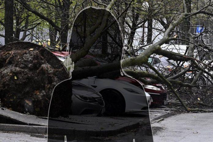 voditeljka-obelodanila-uznemirujuce-snimke-nevremena:-automobil-totalno-unisten,-drvece-sve-demoliralo!