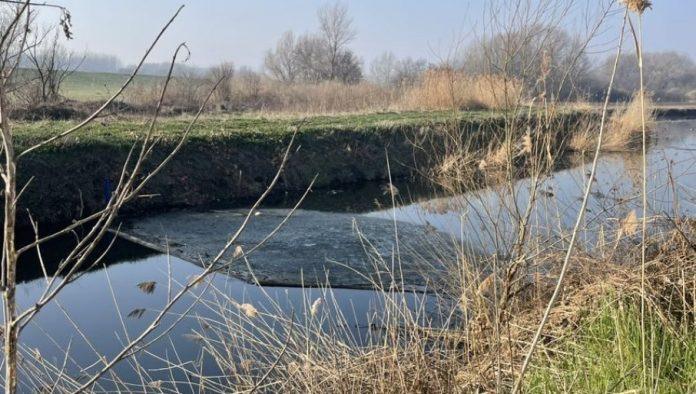 ko-krije-uzroke-pomora?-dva-meseca-posle-uginuca-ptica-i-riba-u-krnjaci,-razlog-nepoznat