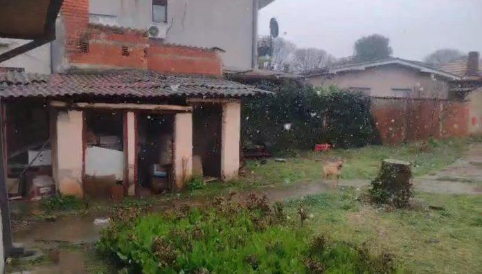 posle-prolecnih-dana-veje-sneg-u-nisu:-baba-marta-se-ne-predaje,-pogledajte-nesvakidasnje-scene-iz-srpskog-grada-(video)