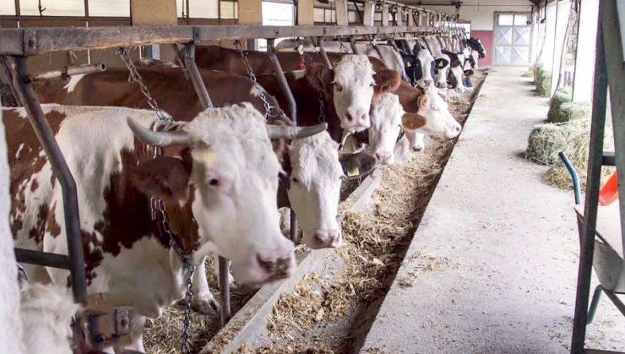 poljoprivreda-vise-nece-biti-ista:-ukrajinci-pokrenuli-“zver”-od-60-robota-u-stocarstvu poljoprivreda-vise-nece-biti-ista:-ukrajinci-pokrenuli-“zver”-od-60-robota-u-stocarstvu