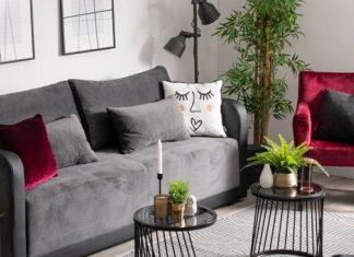 ULOŽI MALO, DOBIJ MNOGO: Nećete verovati koji posao donosi zaradu do 200.000 dinara mesečno ulozi-malo,-dobij-mnogo:-necete-verovati-koji-posao-donosi-zaradu-do-200.000-dinara-mesecno