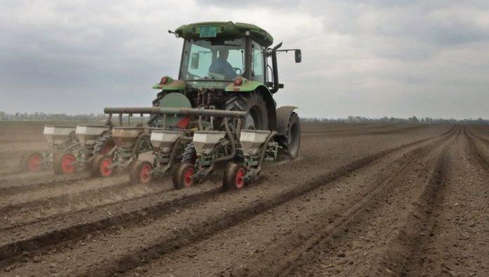 suncokret-sve-popularniji-na-oranicama:-ratari-u-srbiji-privode-kraju-pripreme-za-pocetak-prolecne-setve: