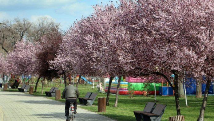 temperature-ce-biti-iznad-20-stepeni:-sve-se-menja-tacno-ovog-dana