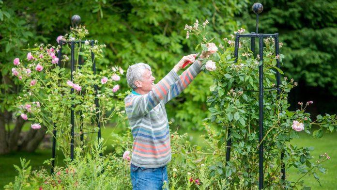 moguce-su-kazne-do-50.000-evra:-ove-bastenske-aktivnosti-su-zabranjene-u-nemackoj-tokom-uskrsnjeg-vikenda
