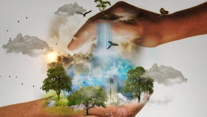 gradani-za-zivotnu-sredinu:-konkurs-mladih-istrazivaca-srbije