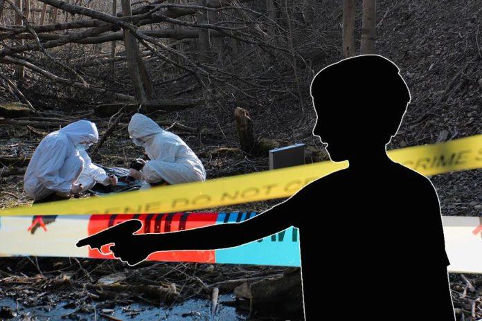 maloletnik-dobio-25000-evra-da-ubije-coveka:-“bilo-mi-je-tesko-da-odbijem,-bio-sam-duzan-24.000-evra”