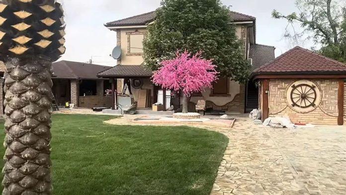 na-raskosnom-imanju-bazen-i-palme,-a-u-vili-stakleni-zid-pogledajte-u-kakvom-bogatstvu-se-kupaju-aleksandra-subotic-i-peca:-zive-u-suvom-luksuzu-kod-novog-sada