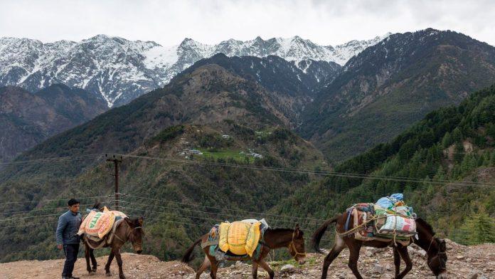 sir-koji-mozete-jesti-i-posle-20-godina,-zovu-ga-“prirodna-zvaka”:-evo-kako-je-ovaj-delikates-postao-spas-za-pastire-(foto)
