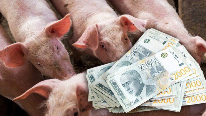 trziste-stoke-u-srbiji:-stips-izneo-brojke,-evo-sta-je-poskupelo,-a-sta-pojeftinilo-pred-praznike