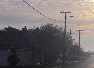 POGLEDAJTE: Vojska i policija u akciji – češlja se teren u opštini Kanjiža (VIDEO) pogledajte:-vojska-i-policija-u-akciji-–-ceslja-se-teren-u-opstini-kanjiza-(video)