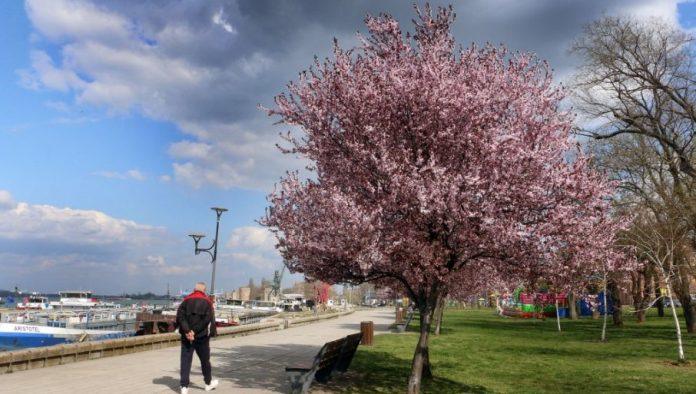 konacno-20-stepeni:-ovog-datuma-vracaju-nam-se-prolece-i-suncano-vreme