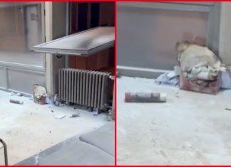 PET DANA NAKON POGIBIJE STUDENTKINjE MILICE PEVALA NA MESTU NjENE SMRTI: Kome smeta da se otkrije šta se događalo na Filozofskom fakultetu? pet-dana-nakon-pogibije-studentkinje-milice-pevala-na-mestu-njene-smrti:-kome-smeta-da-se-otkrije-sta-se-dogadalo-na-filozofskom-fakultetu?