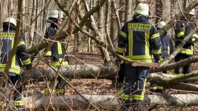 (video)-poginule-majka,-beba-i-devojcica-tragedija-na-uskrsnje-jutro:-drvo-palo-na-njih-dok-su-trazile-uskrsnja-jaja