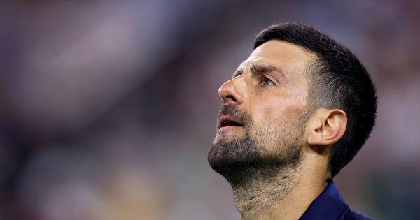 cuveni-britanac-upozorio-dokovica! cuveni-britanac-upozorio-dokovica!