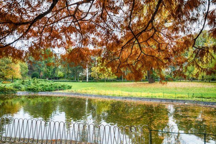 drzava-ulaze-u-zeleniju-srbiju:-raspisan-konkurs-za-projekte-ozelenjavanja