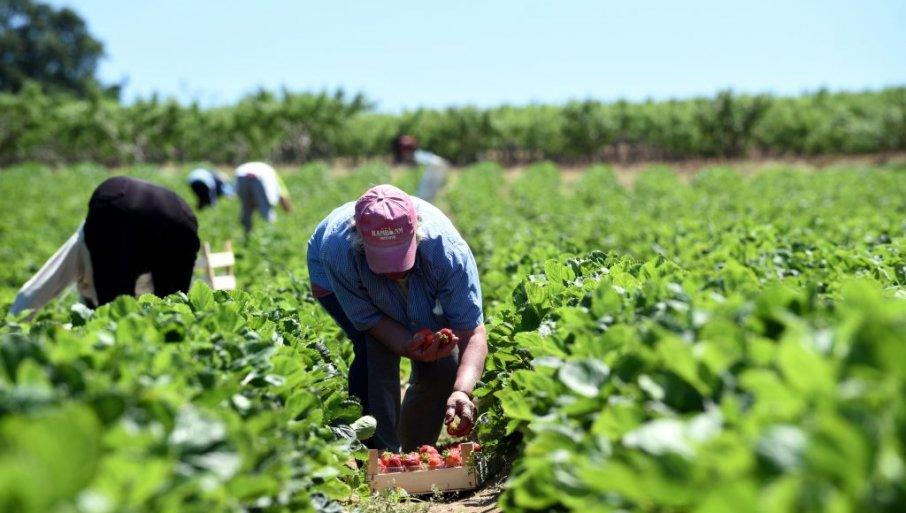 zarada-180.000:-ovo-su-najplaceniji-sezonski-poslovi-u-srbiji zarada-180.000:-ovo-su-najplaceniji-sezonski-poslovi-u-srbiji