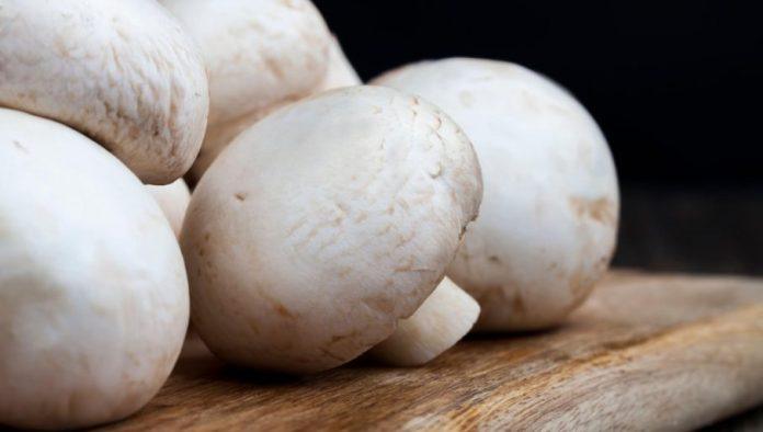 zarada-do-11.000-evra:-ovim-biznisom-u-srbiji-mozete-da-se-bavite-tokom-cele-godine