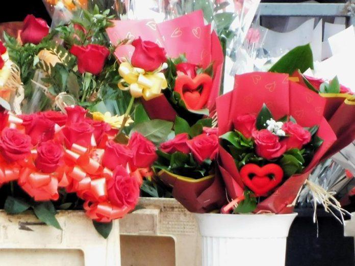 prolecni-festival-cveca-u-kuli:-oaza-muzike,-zelenila-i-dobre-atmosfere