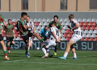 Ternana na ivici bankrota: Porodica Rico odustaje, spas stiže od bivšeg vlasnika Sampdorije? ternana-na-ivici-bankrota:-porodica-rico-odustaje,-spas-stize-od-bivseg-vlasnika-sampdorije?