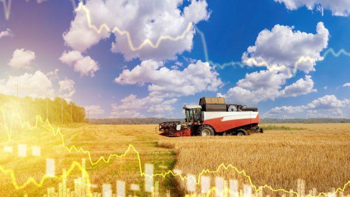 produktna-berza:-praznicna-nedelja-u-znaku-manjeg-trgovanja,-cene-kukuruza-porasle