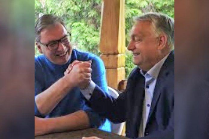 vucic-pruzio-podrsku-orbanu-uoci-parlamentarnih-izbora:-ne-znam-da-li-ce-viktor-da-izgubi-ili-pobedi!-samo-znam-da-sam-mu-beskrajno-zahvalan-(foto)