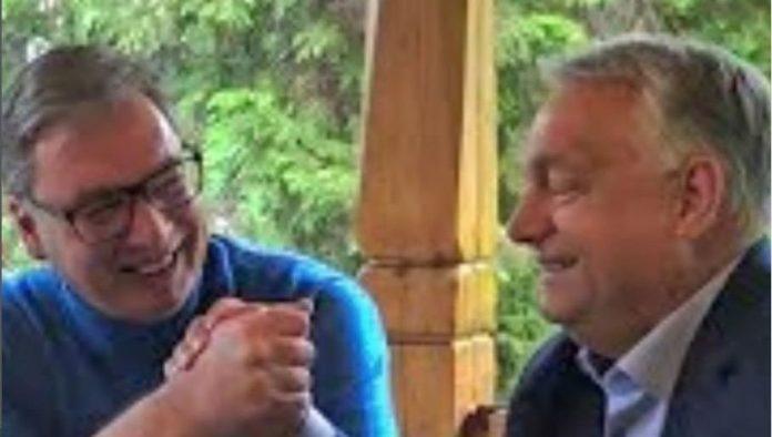 vucic-pruzio-podrsku-orbanu-na-izborima:-mi-srbi-smo-drugaciji,-jer-i-da-izgubis,-bicemo-zauvek-zahvalni