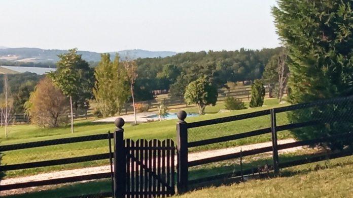 uknjizena-kuca-i-gotov-biznis-u-jednom!-na-prodaju-imanje-sa-2.000-borovnica-na-kosmaju,-poznata-i-cena-(foto)