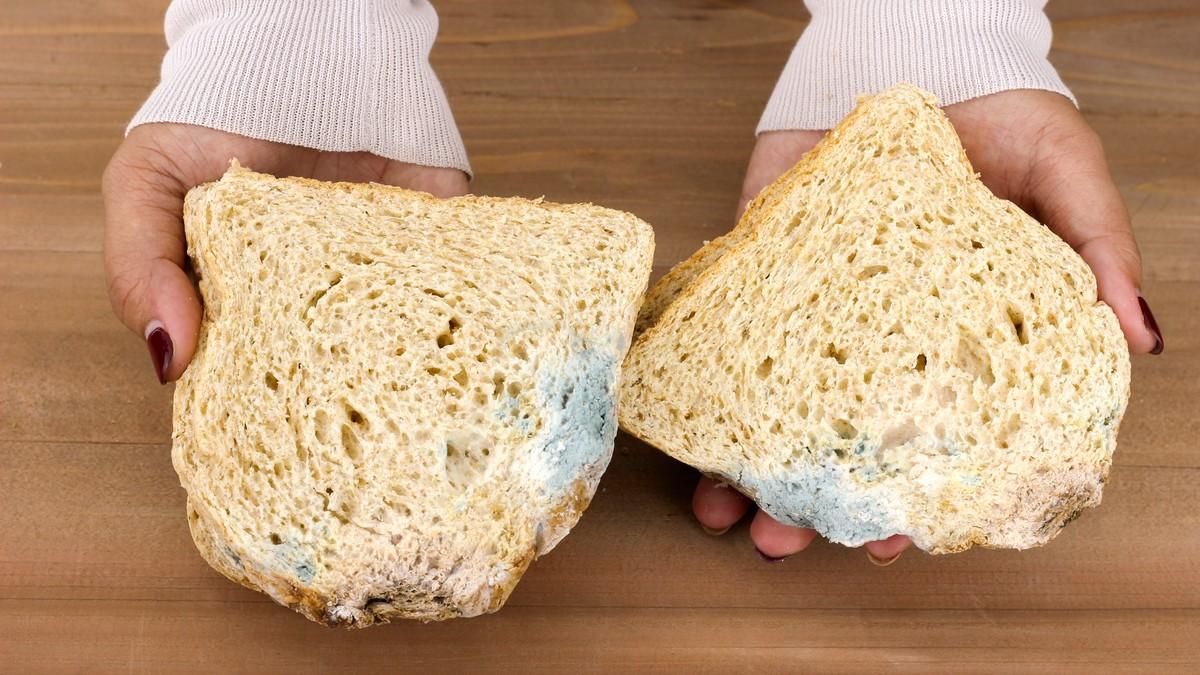 budav-hleb-–-da-li-je-dovoljno-samo-skinuti-mrlju-ili-treba-baciti-celu-veknu budav-hleb-–-da-li-je-dovoljno-samo-skinuti-mrlju-ili-treba-baciti-celu-veknu